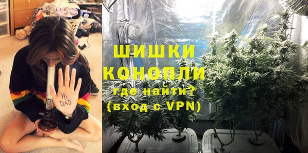 ГАЛЛЮЦИНОГЕННЫЕ ГРИБЫ Новозыбков