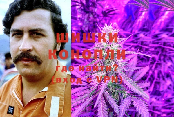 соль ск Новодвинск