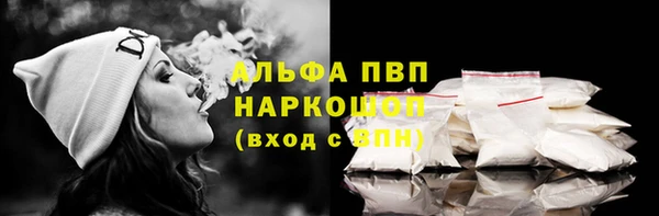 соль ск Новодвинск