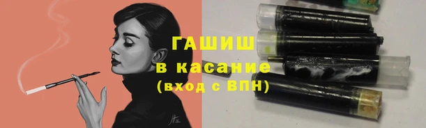 ГАЛЛЮЦИНОГЕННЫЕ ГРИБЫ Новозыбков