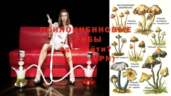 кокс Нефтекумск