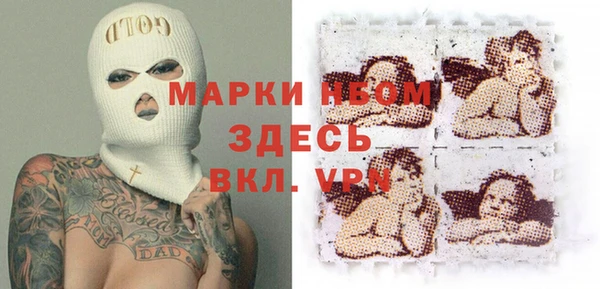 соль ск Новодвинск