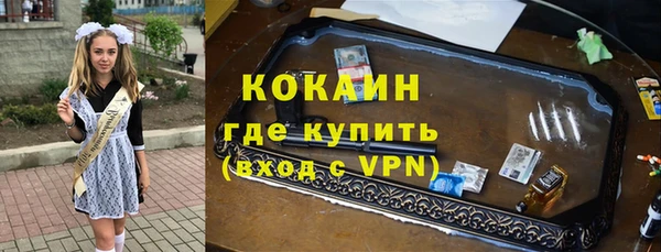 соль ск Новодвинск