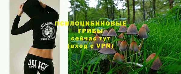 ГАЛЛЮЦИНОГЕННЫЕ ГРИБЫ Новозыбков