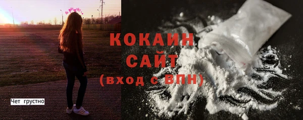 ГАЛЛЮЦИНОГЕННЫЕ ГРИБЫ Новозыбков